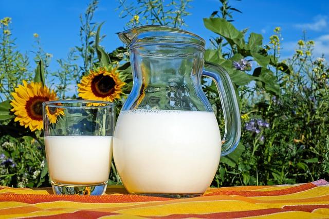 Making Informed Choices:⁢ Guiding Parents on the Best ‍Milk for​ Their Child