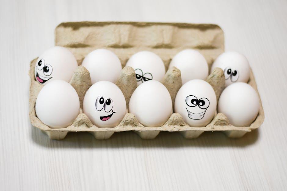 top Picks‌ for Taste and Performance ⁢in ⁢organic Protein ⁤Options