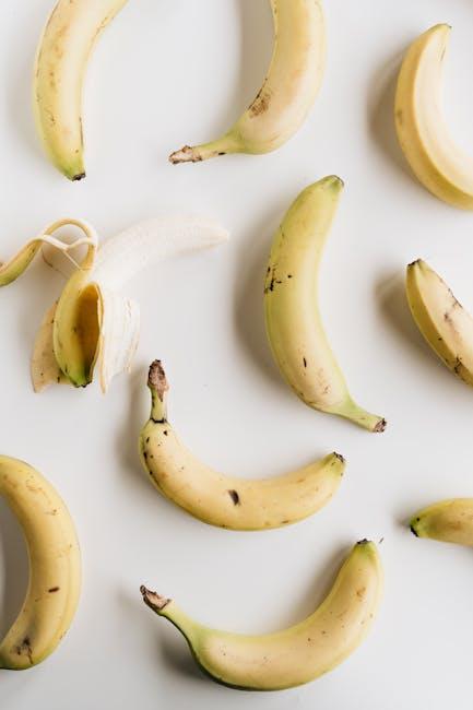Exploring Vegan Protein Sources: ‌Types, Benefits, and Recommendations