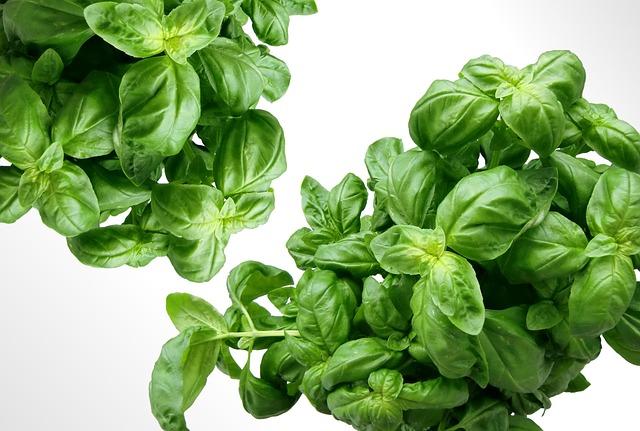 Exploring Culinary Creativity with Fresh, Nutritious Ingredients