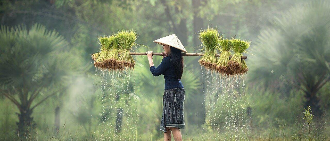 Sustainable Sourcing: Ingredients that‌ Respect ‌the Planet