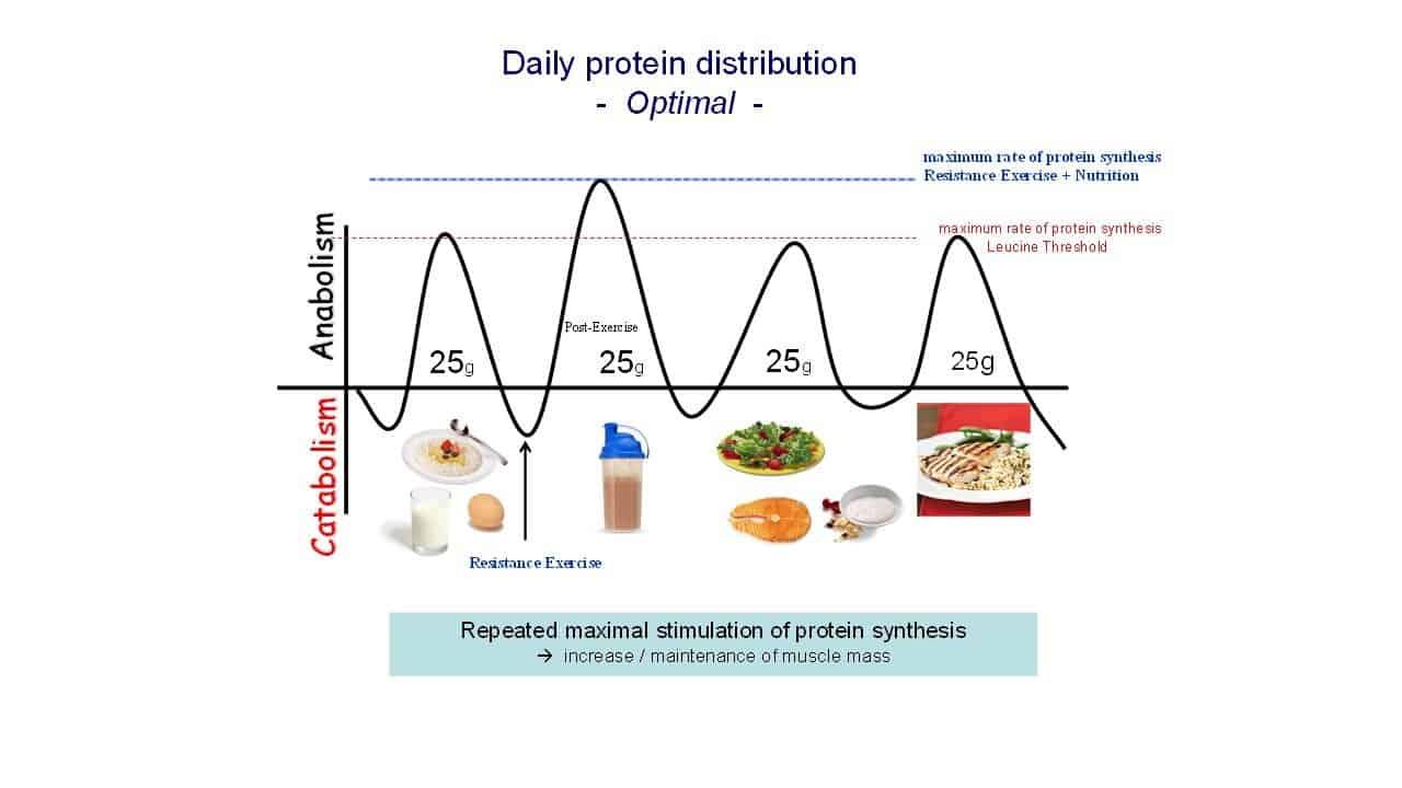 Throughout⁤ the Day: Spreading Protein​ Intake ⁣for ⁤Optimal ⁣Results
