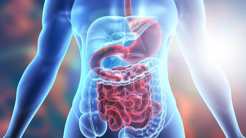 Understanding Digestive Issues and Their Impact on Health