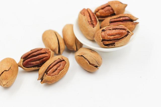 Reviewing Organic Plant-Based Protein Bars: Nutrition, Taste, and Brand Loyalty
