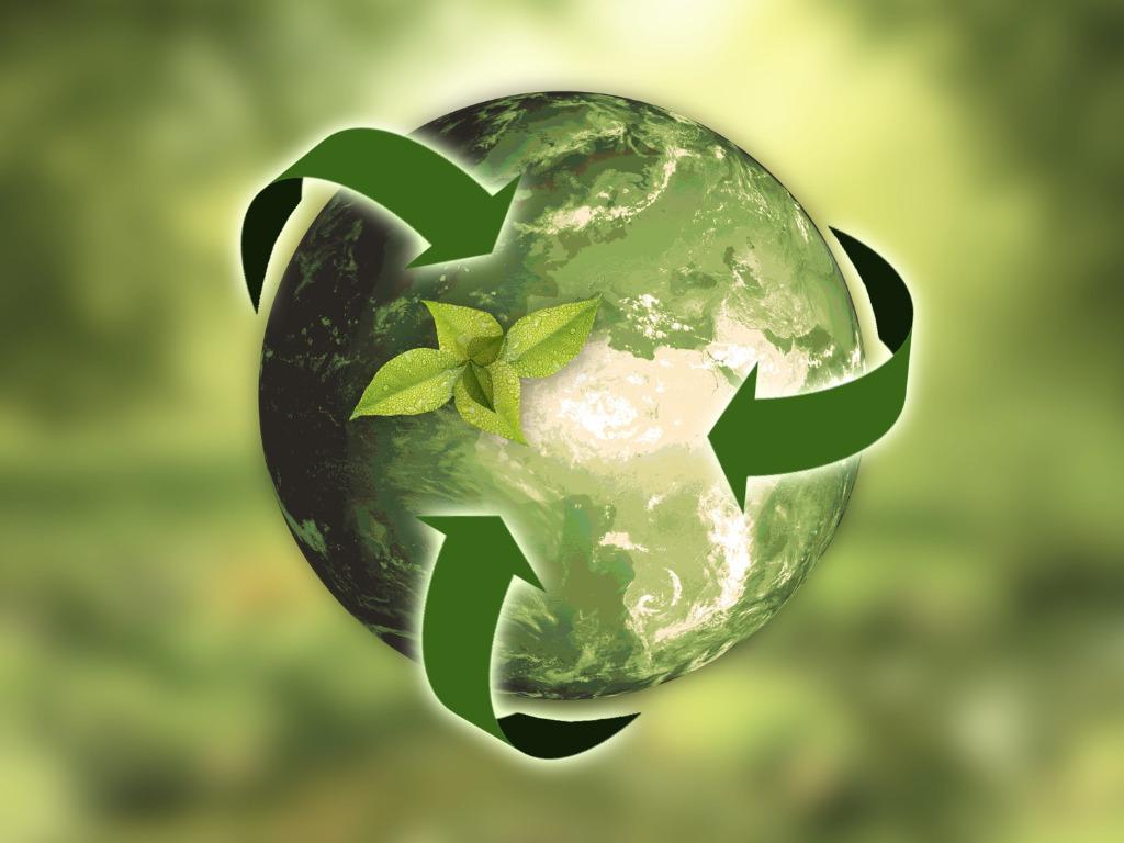 Sustainability Spotlight: Meal Kits with Eco-Friendly Packaging and Practices