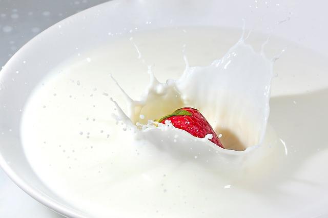 Comparing Plant-Based vs. Dairy-Based Toddler Milks: What Parents Need to Know