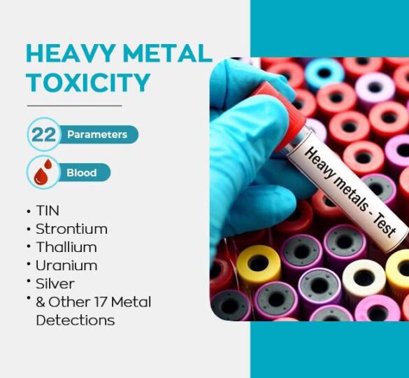 Heavy Metal Testing in Baby Foods: What Brands Are Transparent and Safe?