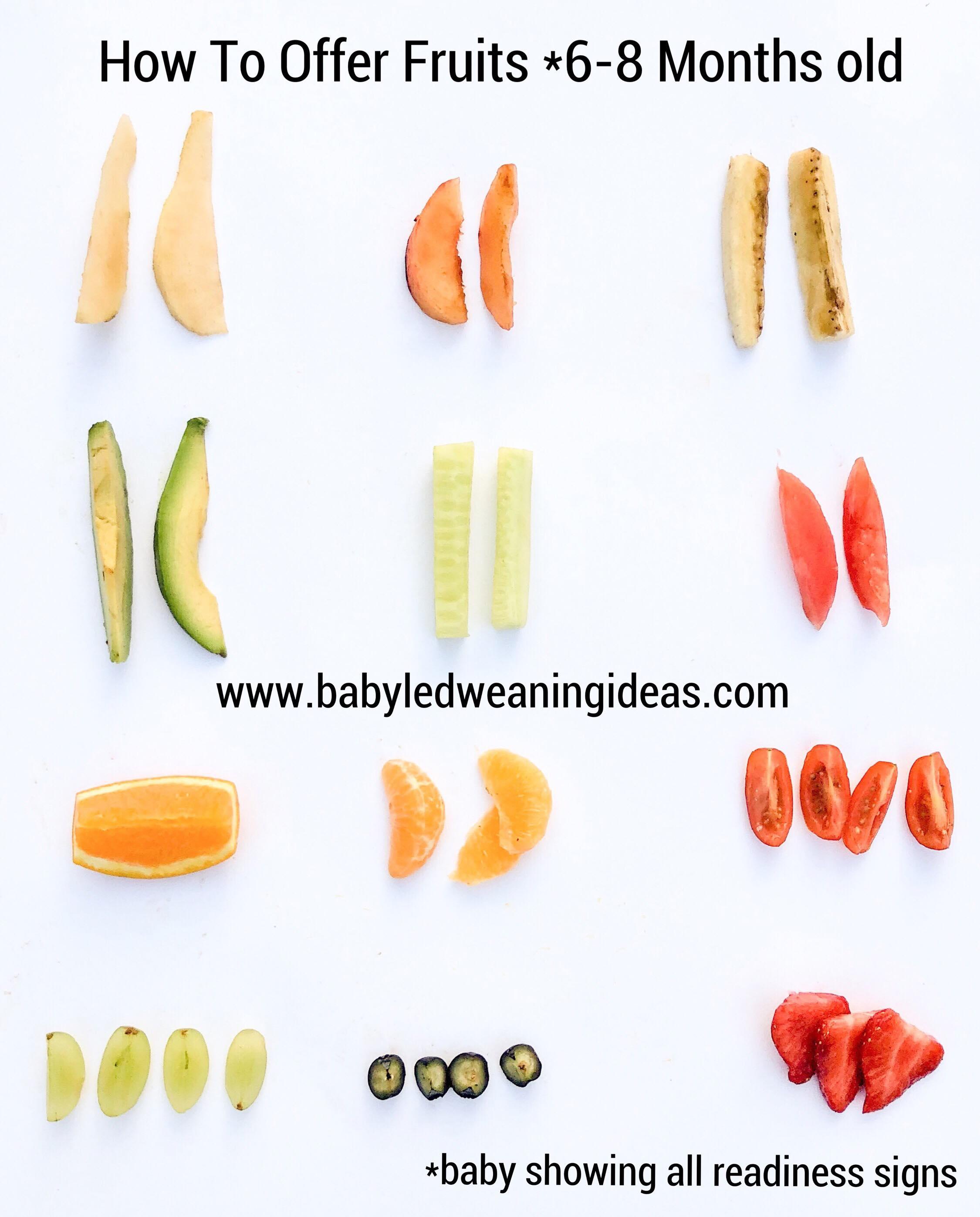 Parental ⁢Feedback: ⁢Real-Life ‍Experiences⁢ with Baby-Led Weaning ⁤Meal Kits